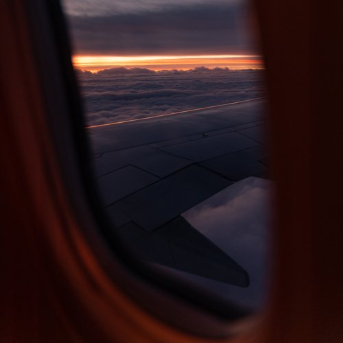 White Noise Flight cover art
