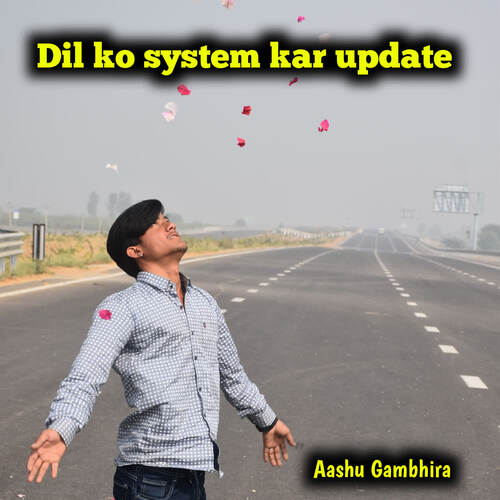 dil ko system kar update