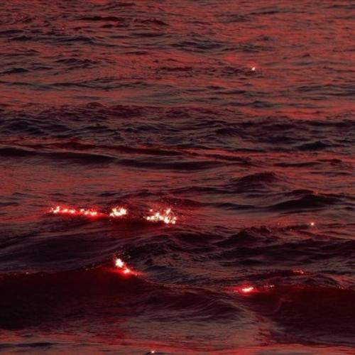 suffering cover art