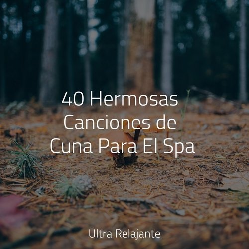 40 Hermosas Canciones de Cuna Para El Spa