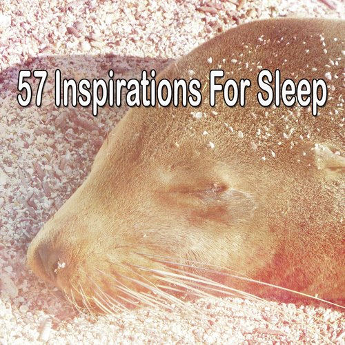 57 Inspirations For Sleep