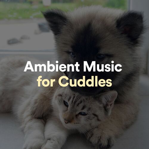 Ambient Music for Cuddles