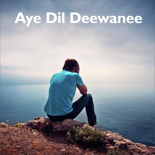 Aye Dil Deewane_poster_image