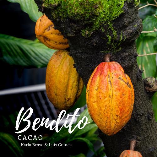 Bendito Cacao cover art