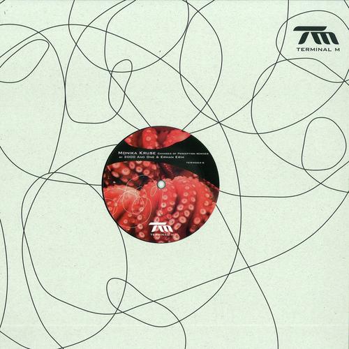 Changes of Perception 2nd Remix Edition