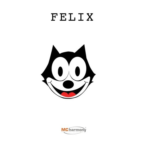 Felix cover art