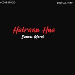 Hairaan Hua
