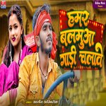 Hamar Balamua Gadi Chalabe