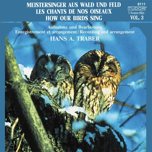 Mixed Forest (Reh, Mönchsgrasmücke, Gartengrasmücke, Weidenlaubsänger, Waldkauz, Waldlaubsänger, Singdrossel) [2] cover art