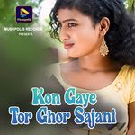 Kon Gaye Tor Ghor Sajani