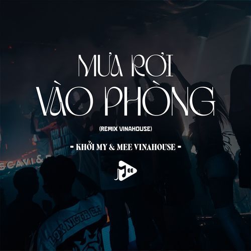 Mưa Rơi Vào Phòng (Remix Vinahouse) cover art
