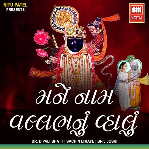 Mane Nam Vallabh Nu Vhalu (Original)