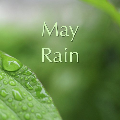 May Rain