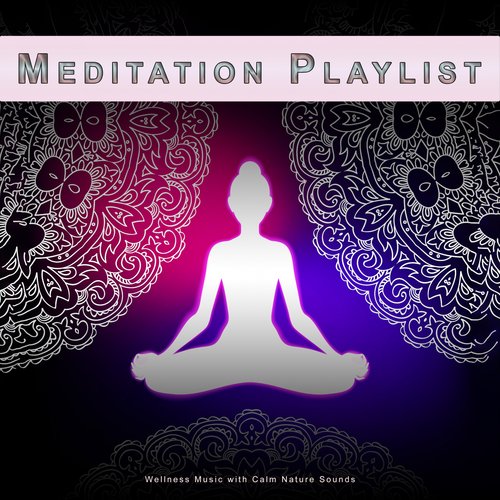 Meditation Playlist: Wellness Music with Calm Nature Sounds_poster_image