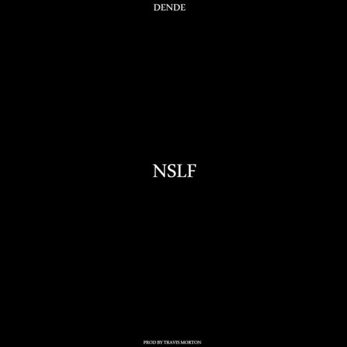 NSLF_poster_image