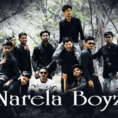 Narela Boyz cover art