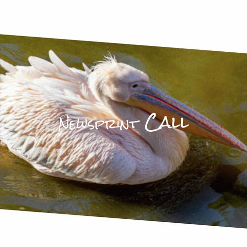 Crd cover art