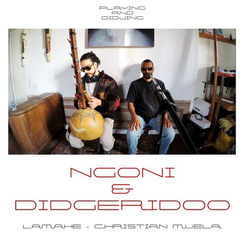 Ngoni & Didjeridoo (Playing and Didjing) cover art