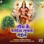 Nim Ke Pataiya Lubhai Gail DJ