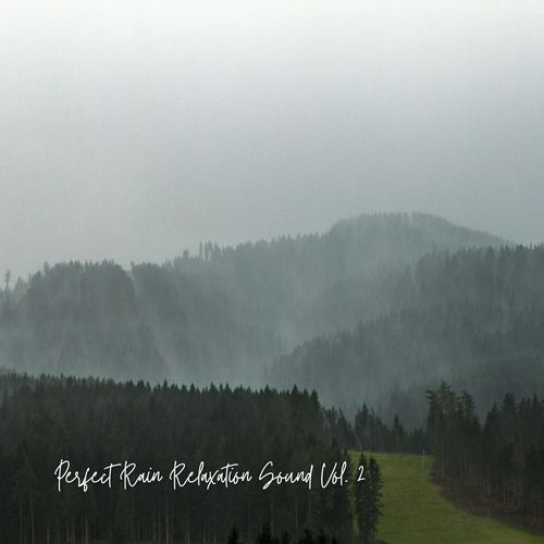 Perfect Rain Relaxation Sound Vol. 2_poster_image