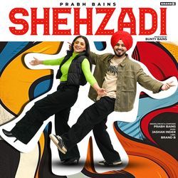 Shehzadi-ACM-Wh9-fH0