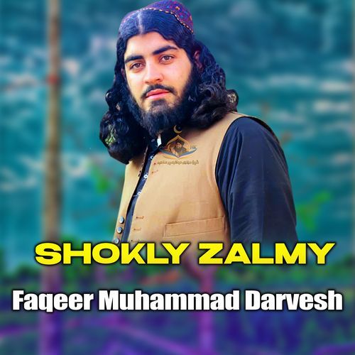 Shokly Zalmy