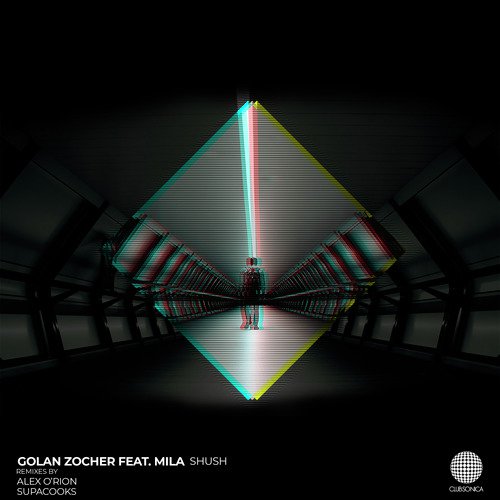 Shush (Supacooks Remix) cover art