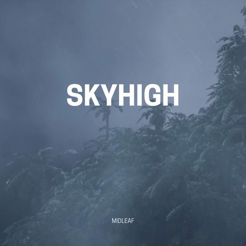 Skyhigh