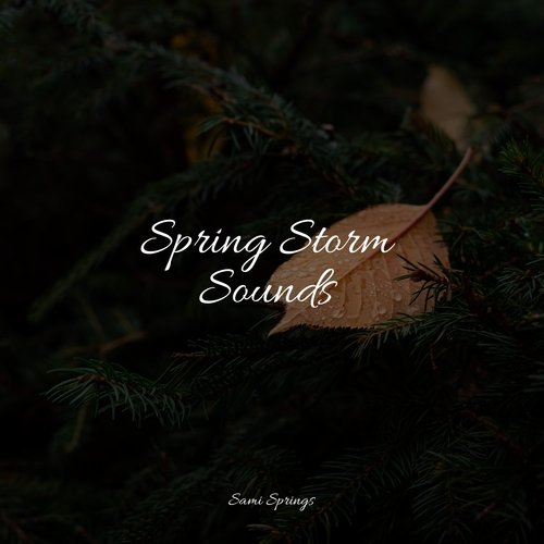 Spring Storm Sounds