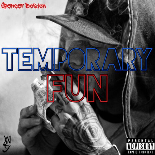 Temporary Fun cover art