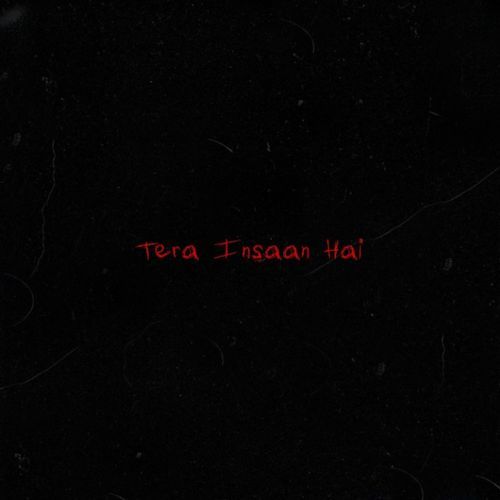 Tera Insan Hai