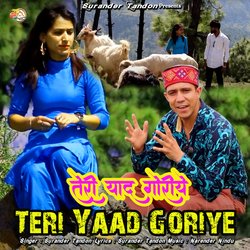 Teri Yaad Goriye-EjgDegdgBlk