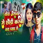 Tora Jaishan Chhuadi Se Karbau Nay Pyar Ge