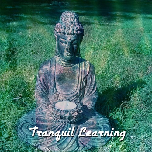 Tranquil Learning
