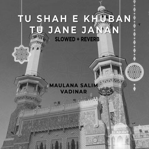 Tu Shah e Khuban Tu Jane Janan (Lofi-Mix)