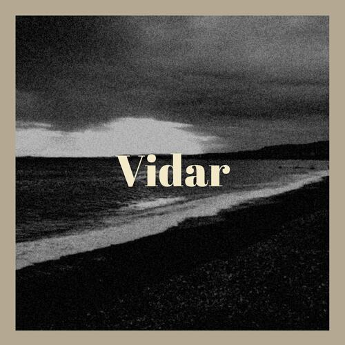 Vidar cover art