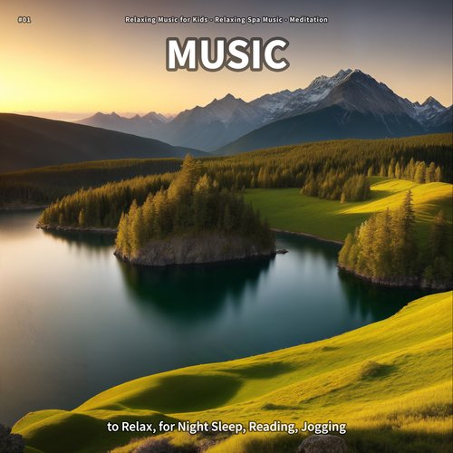 #01 Music to Relax, for Night Sleep, Reading, Jogging_poster_image