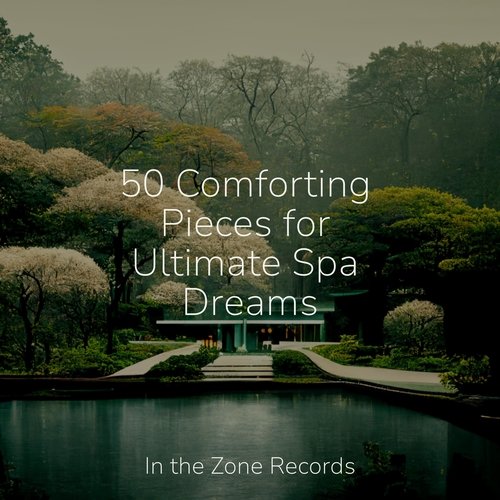 50 Comforting Pieces for Ultimate Spa Dreams