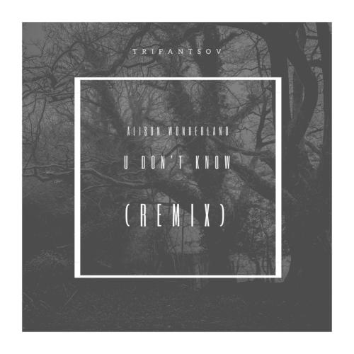 Alison Wonderland - U Don't Know (Remix) cover art
