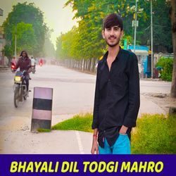 BHAYALI DIL TODGI MAHRO