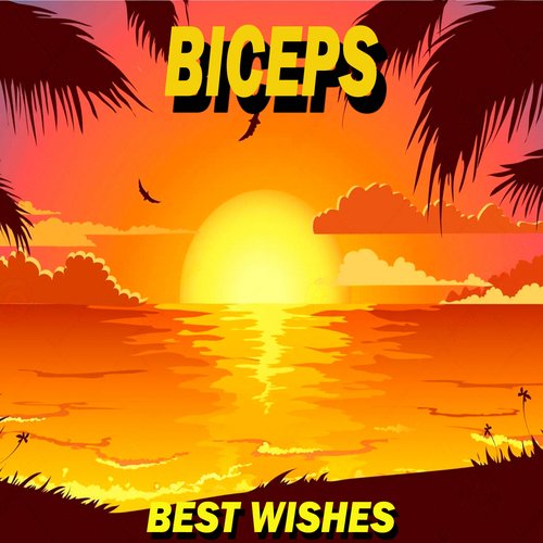 Fiesta Forever cover art