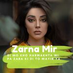 Wa Da Gham Na Dak Mi Khpal ZArgai Di artwork