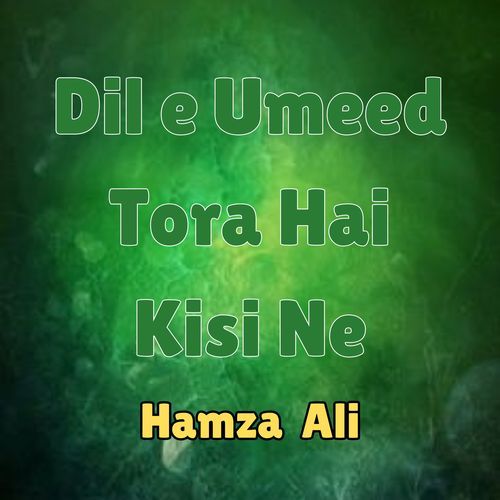 Dil e Umeed Tora Hai Kisi Ne