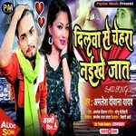 Dilava Se Chehra Naikhe Jaat