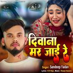 Diwana Mar Jai Re