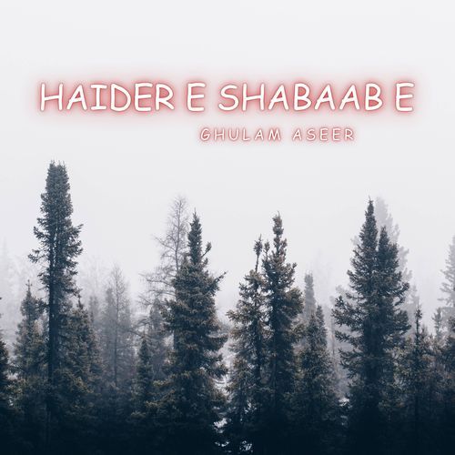 Haider E Shabaab E