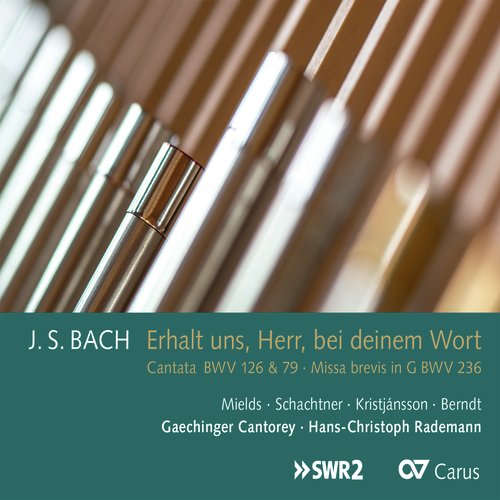 J.S. Bach: Gott der Herr ist Sonn und Schild, BWV 79 - V. Gott, ach Gott, verlaß die Deinen nimmermehr