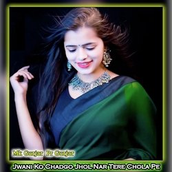Jwani Ko Chadgo Jhol Nar Tere Chola Pe