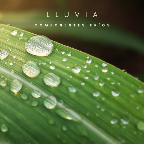 Lluvia y Truenos cover art