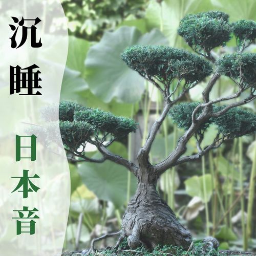 晚安宝贝 cover art